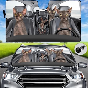 Lykoi Auto Sonnenschutz, Katzen Meme Auto Sonnenschutz, lustige Tiere Auto Windschutzscheibe, Sonnenblende Auto für Familienausflug, Katzen Auto Dekor Geschenke