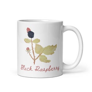 May include: White ceramic mug featuring a watercolor illustration of a black raspberry plant with berries and leaves. The words "Black Raspberry" are written in a cursive font below the illustration. The mug has a white handle.