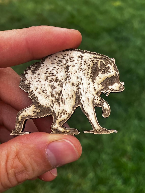 Jimothy the Short Spine Raccoon | Fridge Magnet | Long Live Jimothy