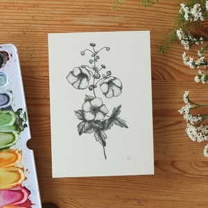 Carte postale Anémone | Feutres fins | A6 | Impression d'art