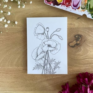 Coquelicots de carte postale | Feutre fin | A6 | Impression d'art