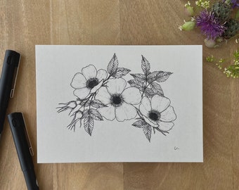 Postcard Dog Rose | Fineliner | A6 | Art Print