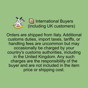 May include: A light green graphic featuring a cartoon rabbit sitting on a yellow banana and holding a pencil next to a small brown box icon. The text reads: International Buyers (including UK customers). Orders are shipped from Italy.