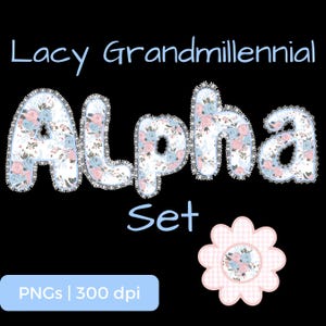 Rose Lace Grandmillennial Alphabet PNG Bundle, Floral Letters with Lace Border, A–Z a–z Numbers Symbols, 8 Design Elements, POD Use Allowed