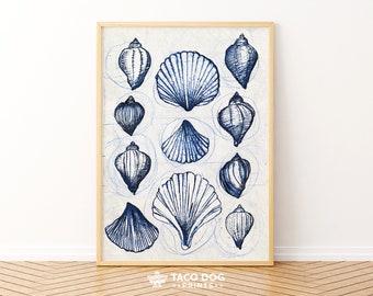 Sea Shell Artwork Print, Nautical Coastal Decor (Digital Download)