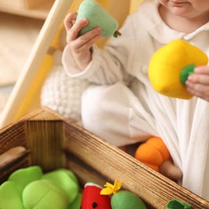 Felt vegetables and fruits play set 0+ months, handmade kids set, pretend play cook, playful kitchen, kids cook toys montessori,sensory toys