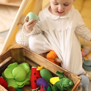 Miniature food, fun play felt food for children, montessori play kitchen, educational felt vegetable, play store,wooden play kitchen toy set