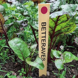 Etichette da giardino in legno – 2 misure – da piantare o appendere – Marcatori per piante per ortaggi, fiori, alberi – Regalo per giardiniere