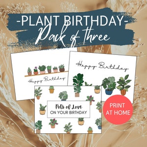 PACOTE DE 3 cartões fofos de plantas | Vários cartões de feliz aniversário de plantas, cartão editável para amantes de plantas, ilustrações desenhadas à mão, impressão em casa