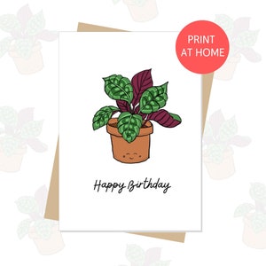 CALATHEA Feliz cumpleaños / Tarjeta de felicitación amante de las plantas, imprimir en casa, linda tarjeta de cumpleaños, simple, minimalista, ilustración