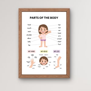 Parts of the Body Educational Poster, Printable Wall Art, Body Parts Poster, Teaching Resource, Homeschool, Digital Download, Anatomy