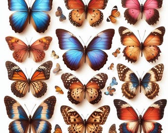 Beautiful Butterfly Collection Cross Stitch Pattern PDF Digital Cross Stitch Chart Digital Files Cross Stitch Gift