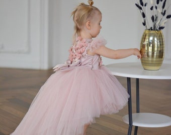 Blush Flower Girl Dress, Flowergirl dress,Tutu dress, Lace flower girl dress, Junior bridesmaid dress