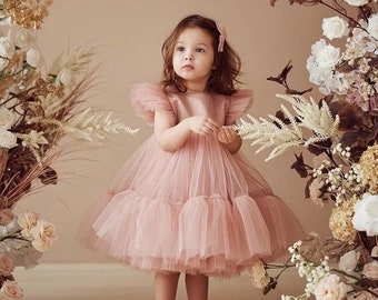 Baby Girl dress Special Occasion, First Birthday Dress,1st Birthday Dress, Birthday Dress Girls Blush Dress, Baby Girl Party Dress