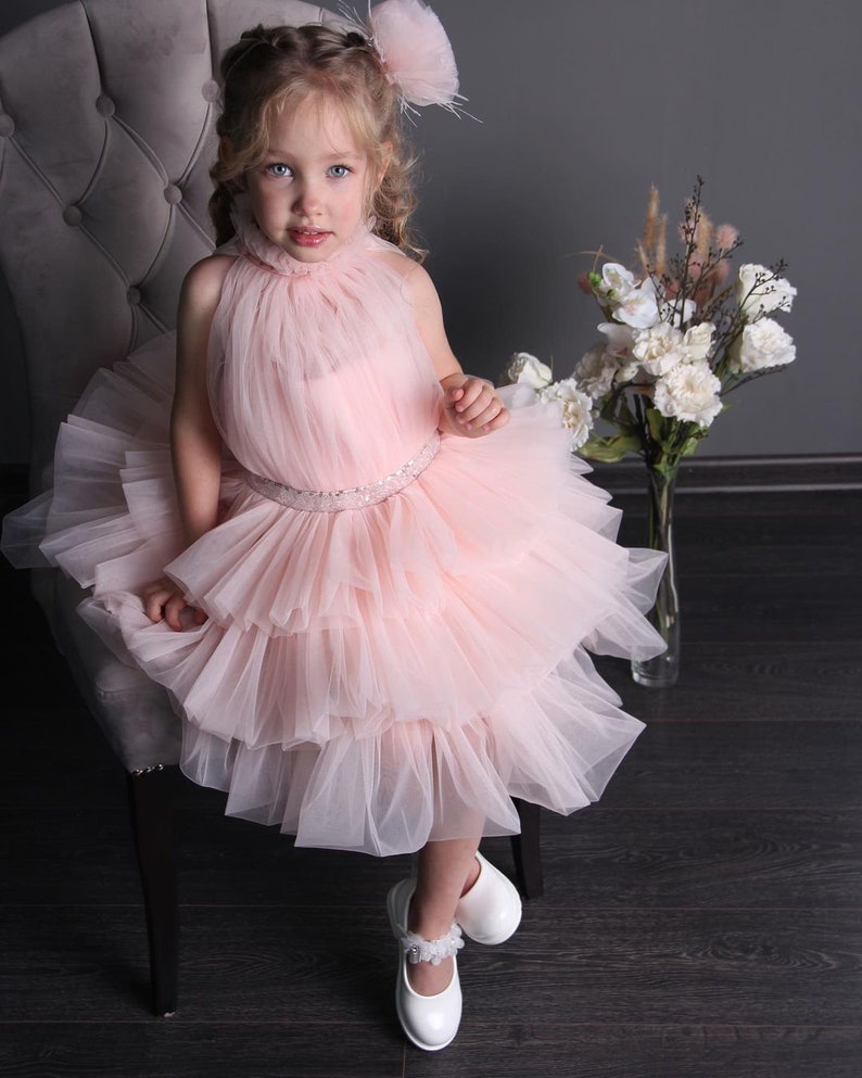 Blush Puffy Flower Girl Dress, First Baby Birthday Party Dress, Tutu & Tulle Princess Girl Gown
