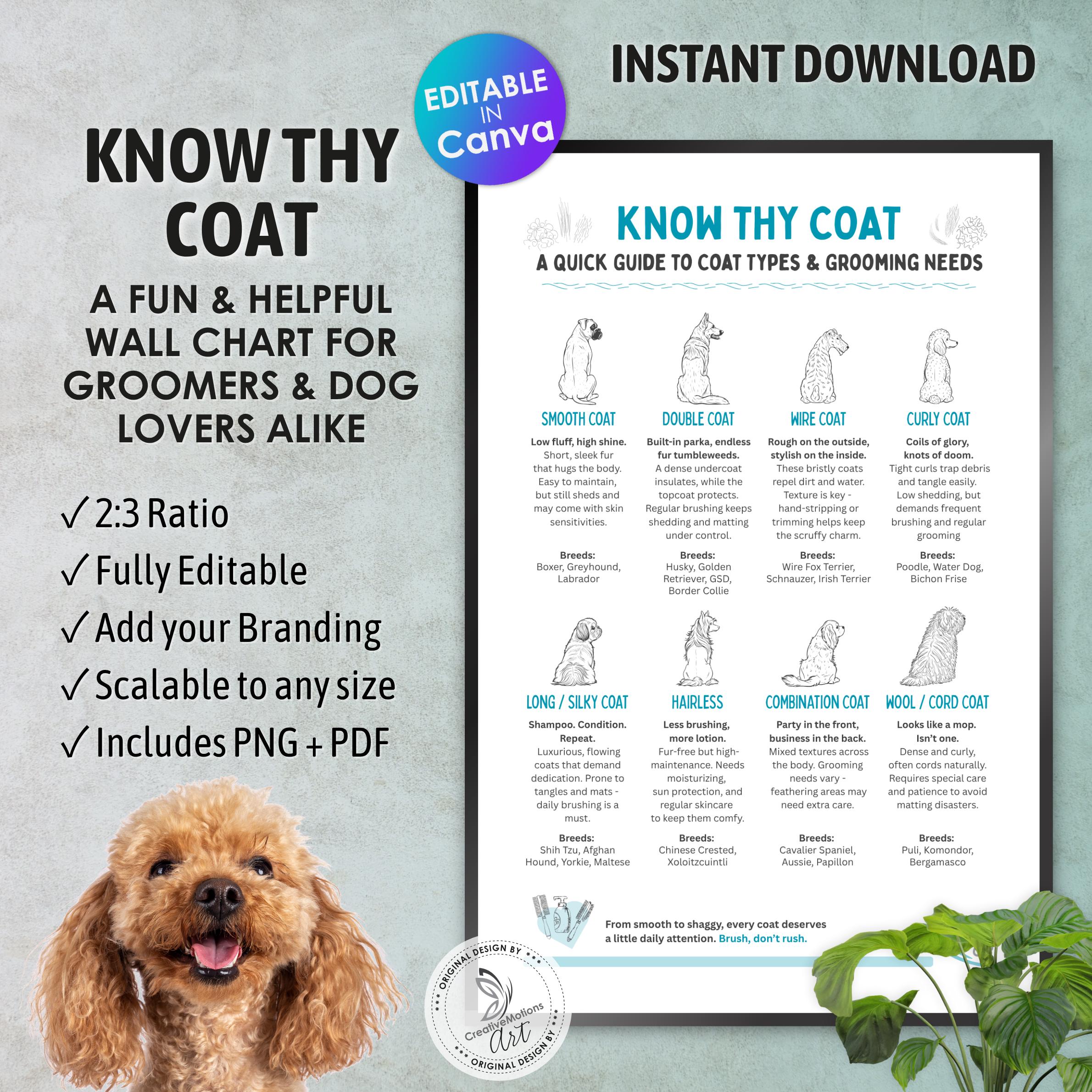 Grooming Profile Karen's Dog Grooming Grooming Chart New Zealand