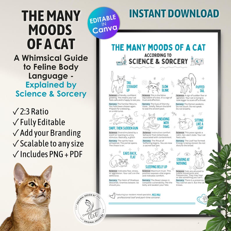 Funny Cat Body Language Poster - Feline Mood Chart (digital Download ...