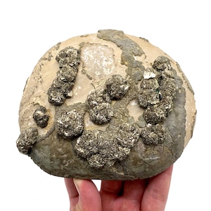 Pyrite Marcasite Specimen 1642g Museum Size  Natural Unique Crystal Cluster from Pakistan Mineral Collector Gift