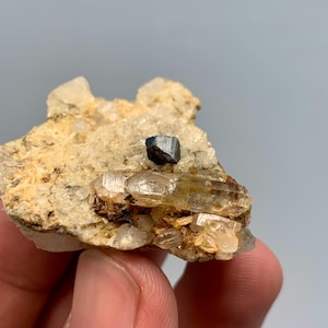 Natural Anatase Crystal 25g with  Quartz - Rare Well Terminated Mineral Specimen from Pakistan