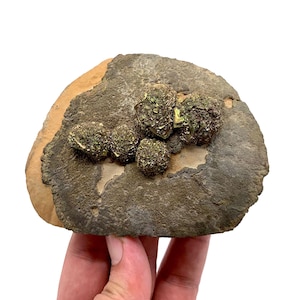 Rainbow Pyrite Marcasite Specimen 353g Natural Unique Crystal Cluster from Pakistan Mineral Collector Gift