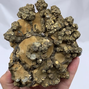 Rare Pyrite Marcasite Healing Specimen 744g Unique Beautiful Shape Crystal Mineral from Pakistan