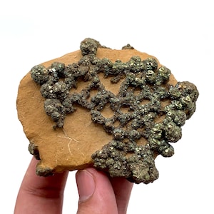Pyrite Marcasite Specimen 181g Natural Unique Crystal Cluster from Pakistan Mineral Collector Gift