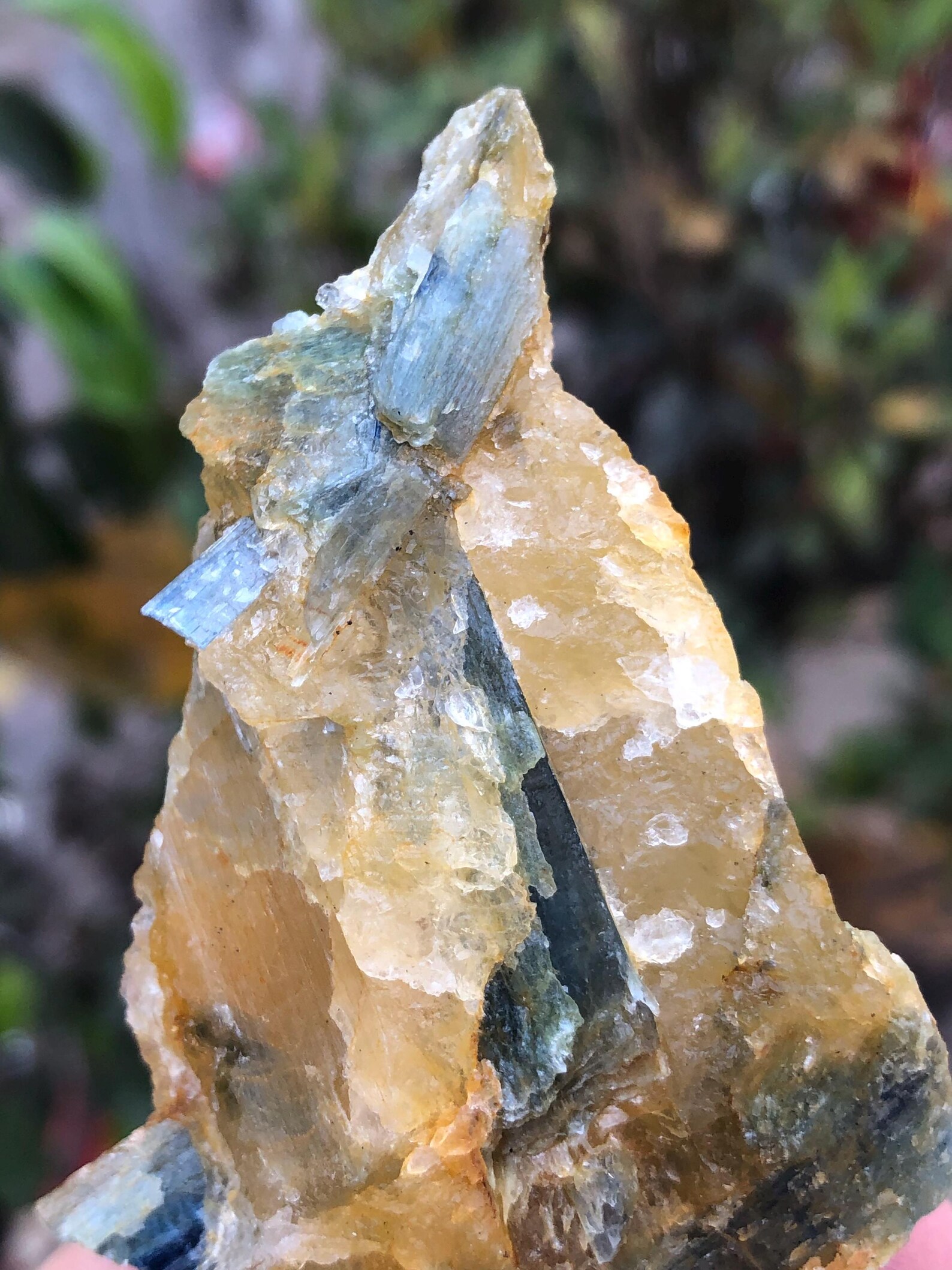 Rare Crystyals Rare Kyanite Crystals in Quartz: Spiritual Healing Stone From Pakistan ...
