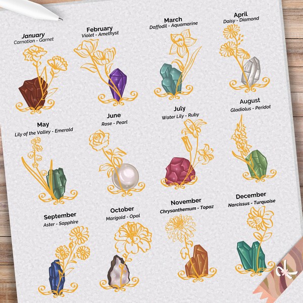 Birth month flower and gemstone illustration pack | PNG clipart | Clipart Bundle | Ideal for gifts | Digital Download