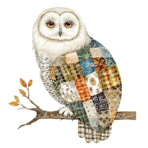 10 Snowy Owl Clipart Bundle, PNG & JPG, Printable Patchwork White Owl, Illustrations, Digital Download, Scrapbook Crafting, Quilt Image