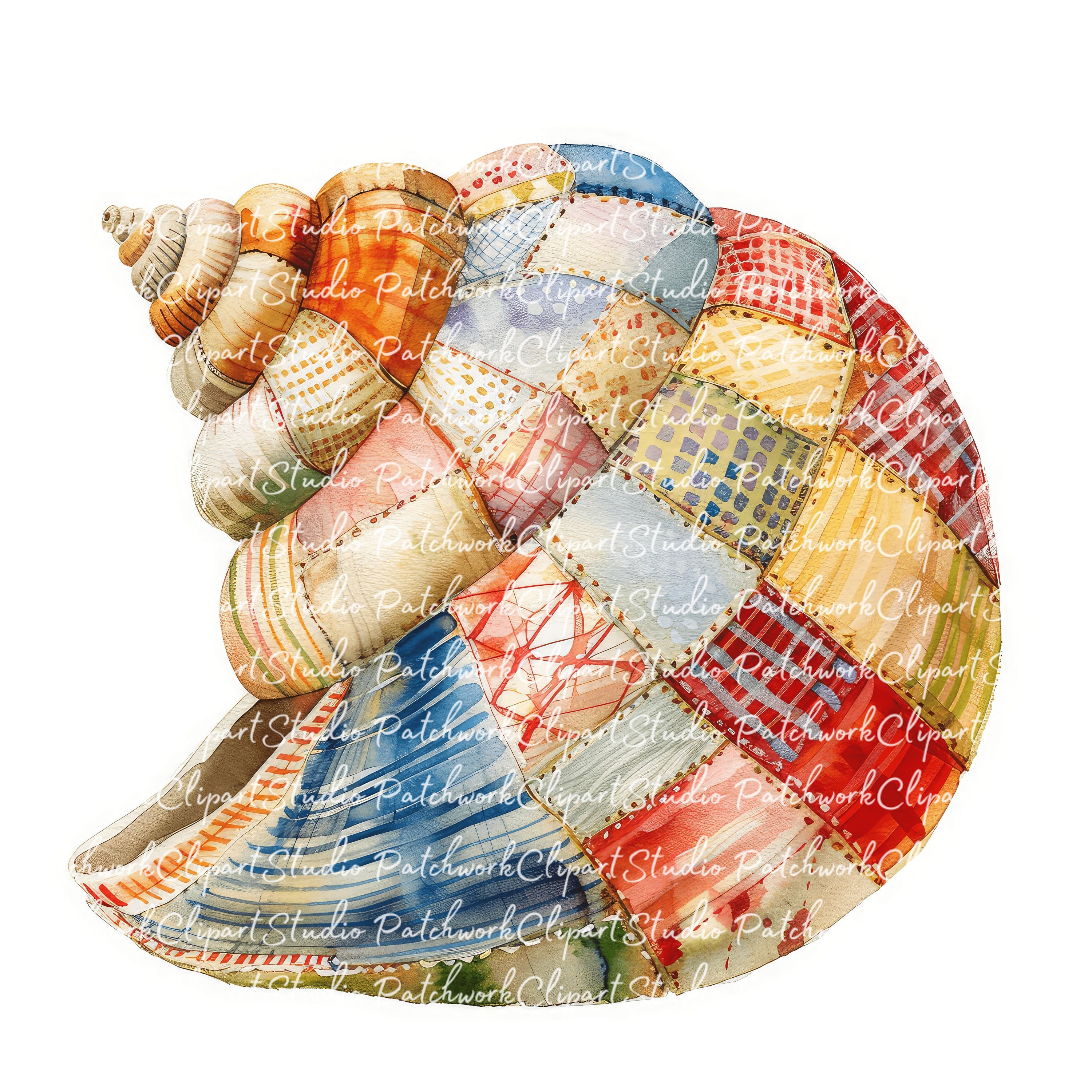 10 Shells Clipart Bundle, PNG & JPG, Printable Patchwork Shell ...