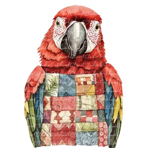 Patchwork Parrot 10 Parrot Clipart Bundle, PNG & JPG, Printable Patchwork Parrots ...
