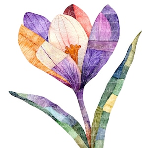 10 krokusbloem clipartbundel, png en jpg, afdrukbare patchwork, illustraties, digitale download, quiltafbeelding, sneeuwkrokus, winterbloem