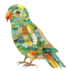 Patchwork Parrot 10 Parrot Clipart Bundle, PNG & JPG, Printable Patchwork Parrots ...