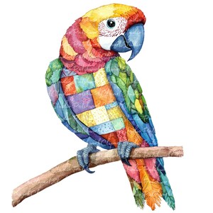 Patchwork Parrot 10 Parrot Clipart Bundle, PNG & JPG, Printable Patchwork Parrots ...