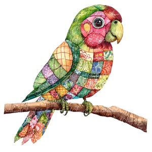 Patchwork Parrot 10 Parrot Clipart Bundle, PNG & JPG, Printable Patchwork Parrots ...
