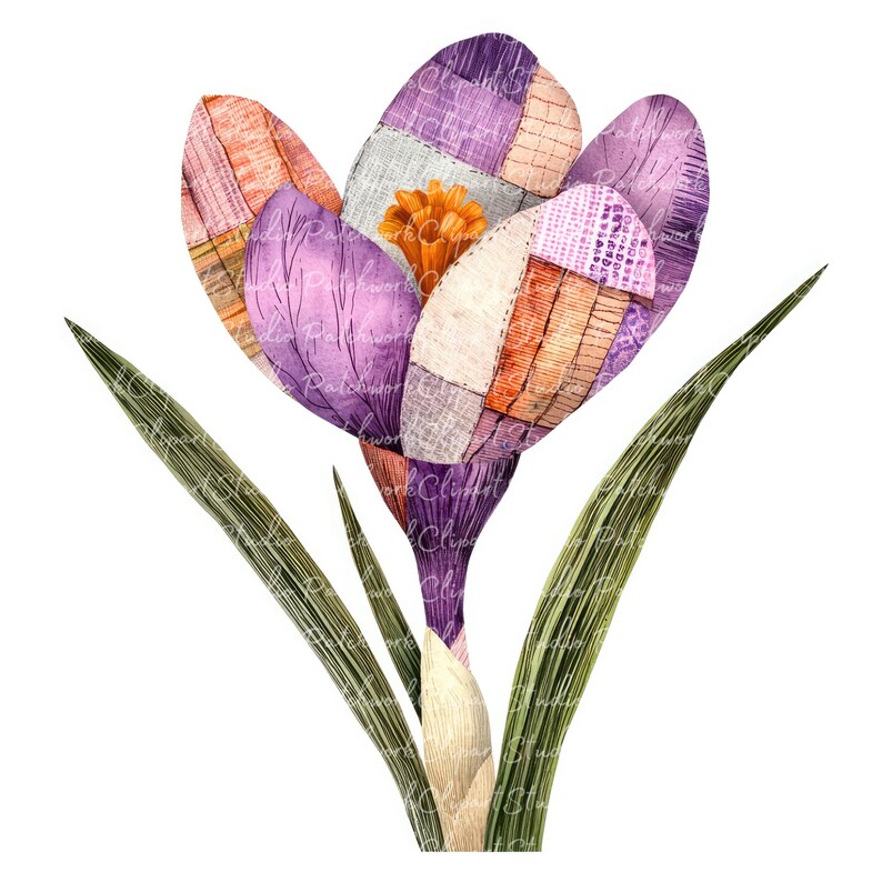 10 Crocus Flower Clipart Bundle, PNG & JPG, Printable Patchwork ...
