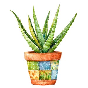Paquete de 10 imágenes prediseñadas de aloe vera, PNG y JPG, ilustración de plantas medicinales para patchwork imprimible, descarga digital, manualidades con álbumes de recortes, imagen de colcha