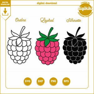 Paquete SVG de frambuesa: capas, contorno y silueta / Archivos de corte de frutas para Cricut y Silhouette / SVG, PNG, DXF, EPS / Uso comercial