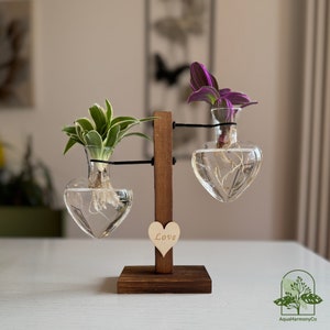 Hydroponik Innengarten-Blumentopf & Holzpflanzenständer mit Glaswasservase, modernes Innengewächshaus für Zuhause