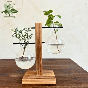 Hydroponischer Pflanzer für Sukkulenten und Blumenzwiebelschnitt, Holzständer-Terrarium, Indoor-Gartendekor und Vermehrungsstation