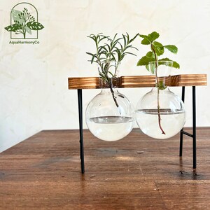 Hydrokultur-Glaspflanzgefäß und Holzständer, Innenterrarium für Sukkulenten, Blumenzwiebelvermehrung, perfektes Geschenk für Mama
