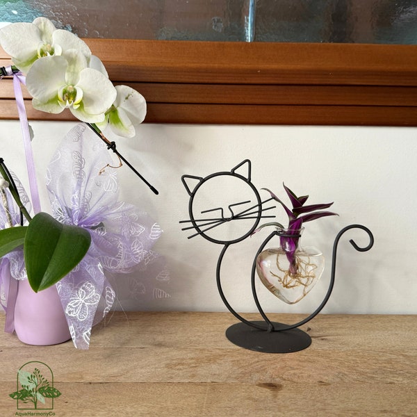 Station de propagation en verre en forme de chat, vase hydroponique avec support en métal pour plante de bureau d'intérieur