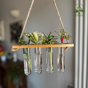 Wand-Pflanzenhalter, hydroponische Pflanzenvermehrung, Blumenvase mit 4 Glasröhren, Innenwohnzimmer- und Bürodekor