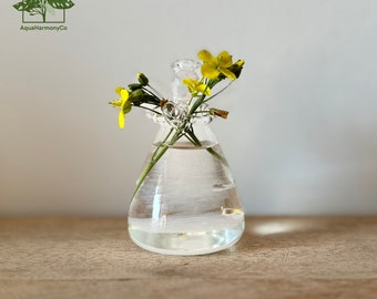 Vase en verre hydroponique, pot en verre suspendu pour la multiplication des plantes et le jardinage d'intérieur, pot de fleur transparent en forme d'ange