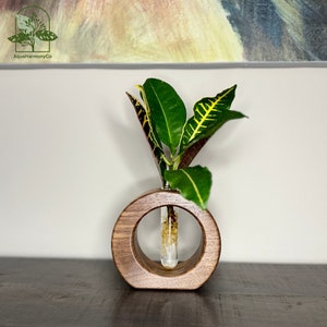 Glas Reagenzglas Pflanzgefäß für Wohnkultur, Holz Hydroponik Vase, Blumenständer Glasterrarium, Vermehrungsstation