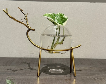 Hydroponic Pot, Propagation Station, Elegant Hydroponic Glass Vase With Metal Stand, Gift For Indoor Plant Lovers