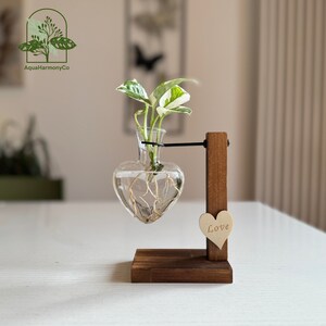 Vermehrungsstation aus Holz, Herzglasvase für Pflanzenstecker, Zimmerpflanzenständer & Hydrokultur-Blumentopf