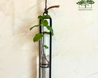 Coupures de plantes en tube de verre, Jardinière sur pied suspendue, Station de propagation des graines, Vase avec boutons et tiges, Vase pour plante hydroponique