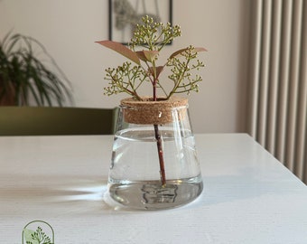 Vase hydroponique, pot de fleur, système de multiplication pour serre d'intérieur, pot de plante grasse avec bord en liège, culture hydroponique