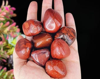 Pietra burattata di diaspro rosso, cristallo lucidato, pietra di radicamento per la palma delle preoccupazioni